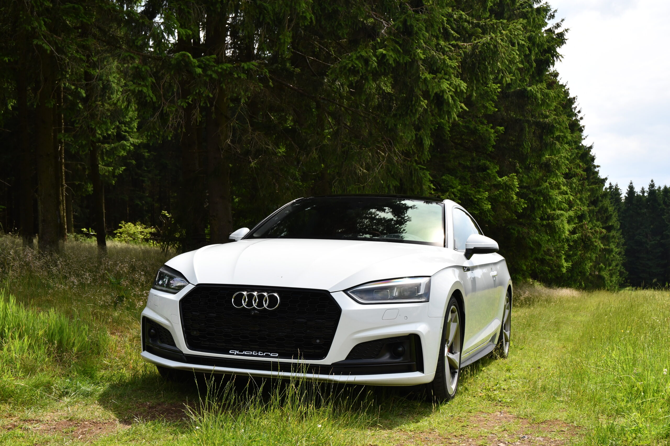 Audi S5 Coupe near the forest